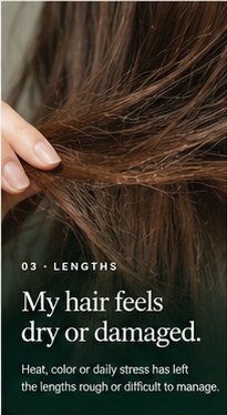 Korean hair care guidance for dry or damaged hair